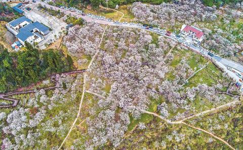 长红配资 都市乡村康养游 独特魅力成引力