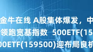 金牛在线 A股集体爆发，中证500领跑宽基指数  500ETF(159500)迎布局良机